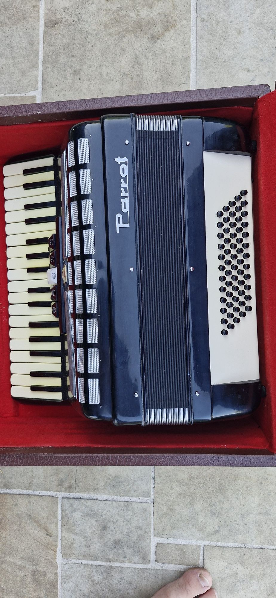 Acordeon Parrot 60 basi