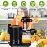 Storcator de fructe Frifer SD90-1 Profesional