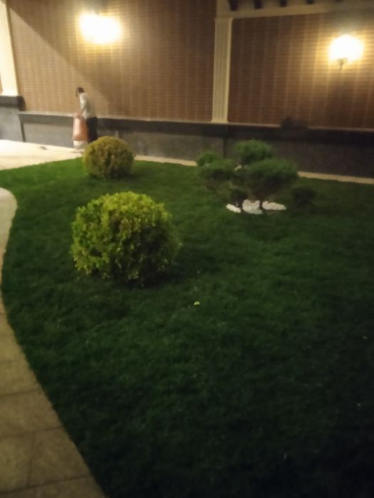 Садовник богбон газон арча ток ланшафт