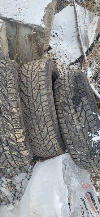 Шины для машин 205