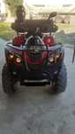 Linhai dragonfly 400 2x4