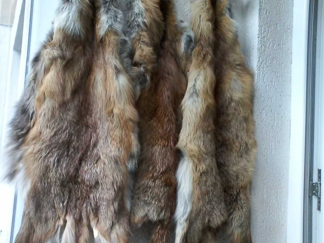 Три кожи от лисици
