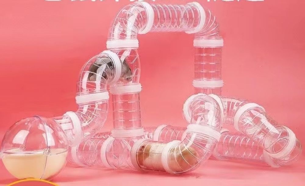 Лабиринт для грызунов