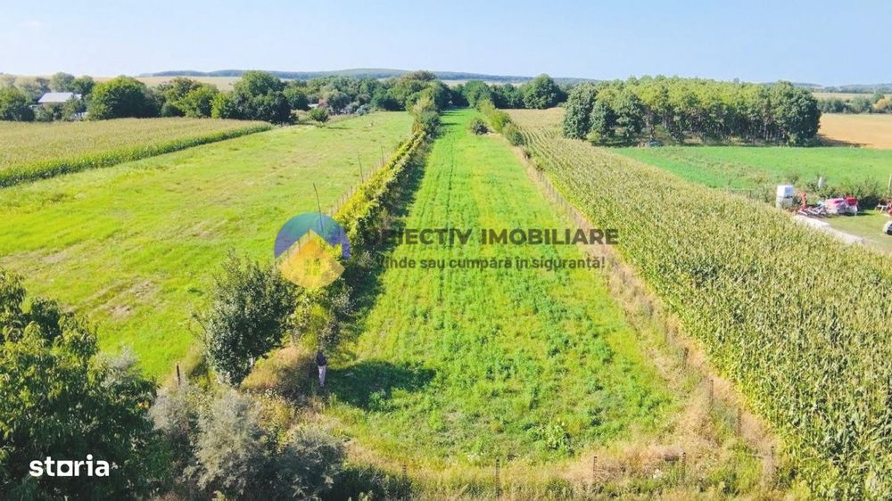 TEREN intravilan  6764 mp DRAGOMIRESTI - VAD