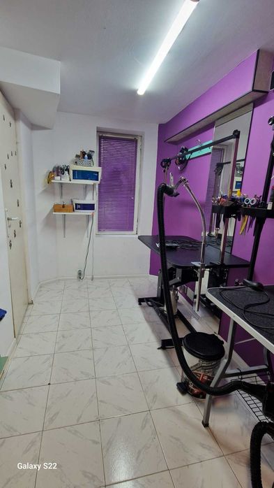 Професионално подстригване и грижа за вашия любимец в гр. Варна