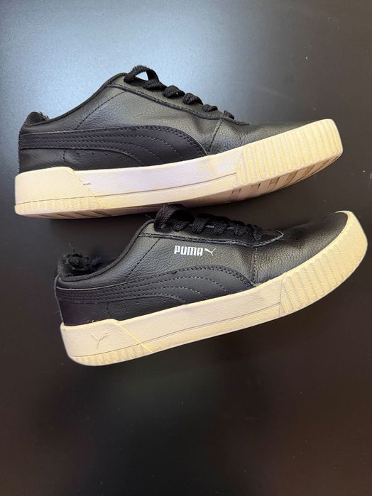Puma carina 37,5