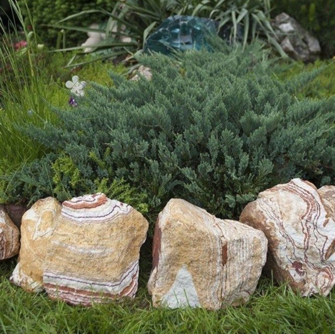Bolovani ornamentali pentru amenajări grădini sau decor