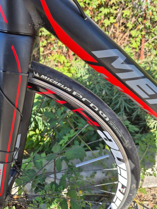 Cursiera Merida Scultura