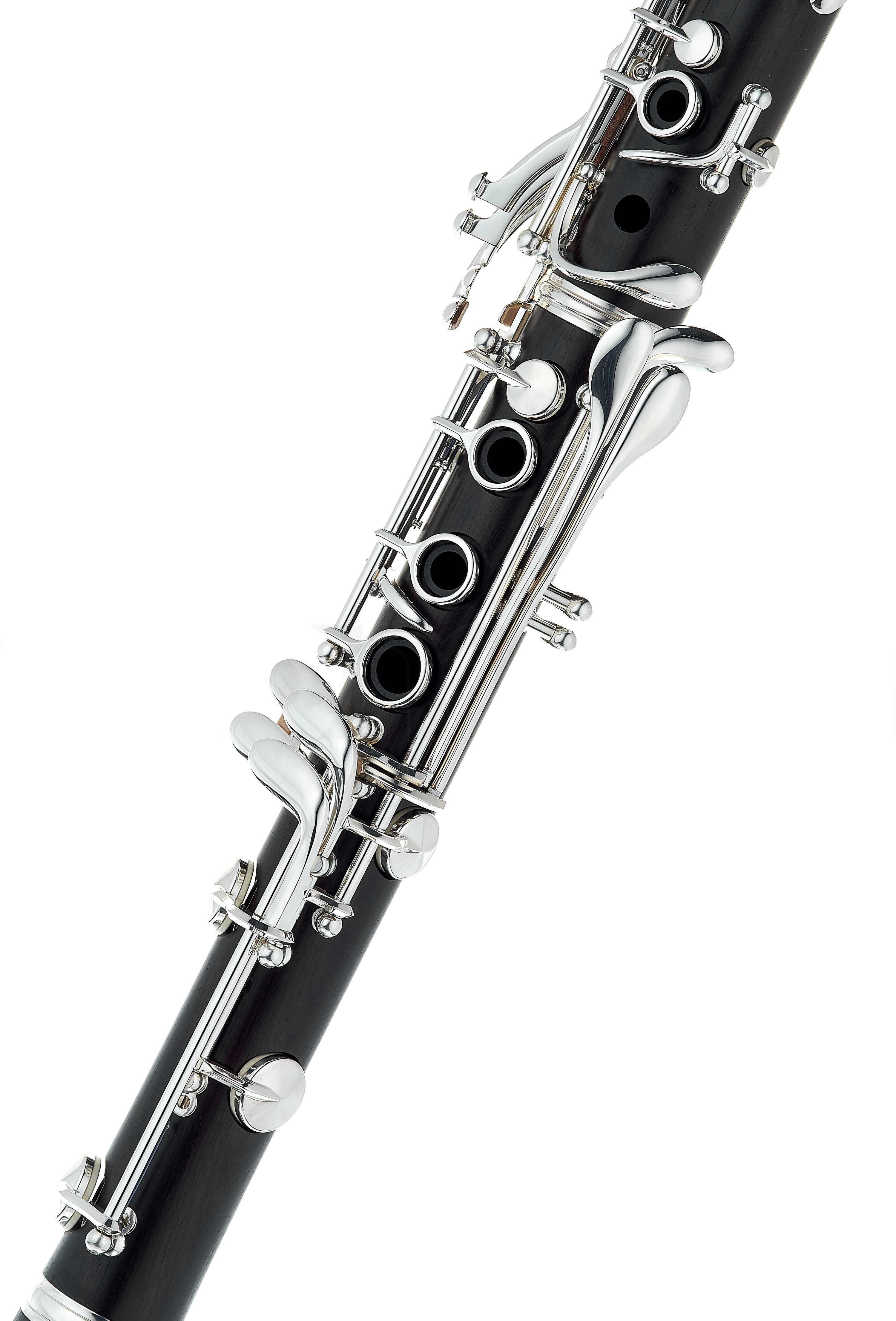 Set Clarinet Yamaha YCL-450