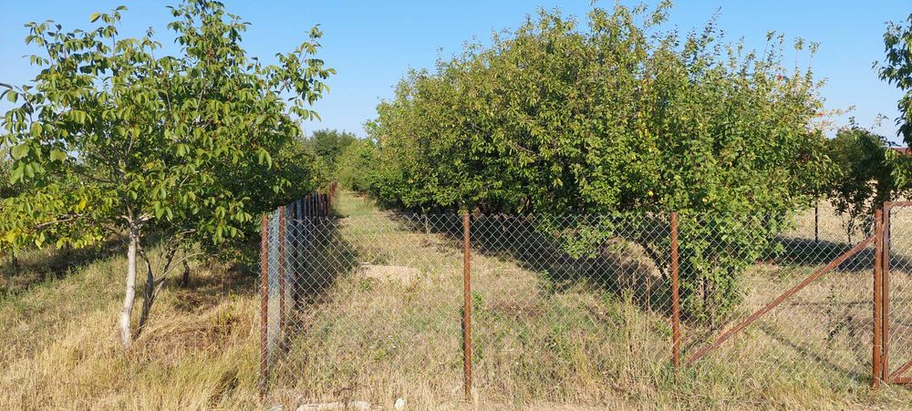 Teren intravilan in Sag jud.Timis