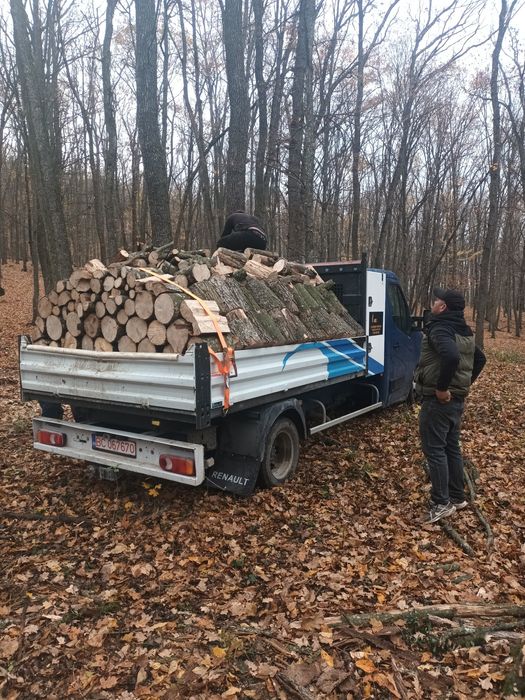 Lemne foc esență tare sau moale
