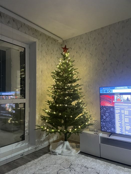 Продам Елку размер 2.10