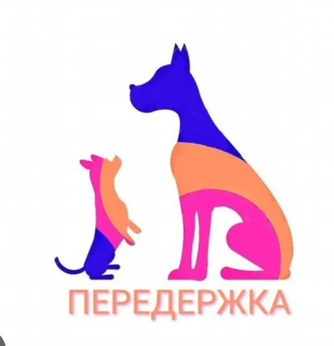Передержка любых питомцев