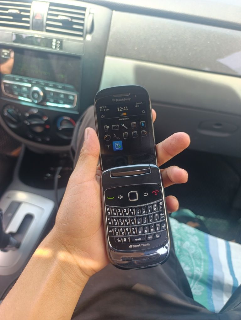 Blackberry legushka