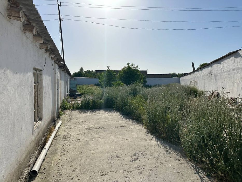 16 соток Зангиотада Ором кафе рупараси Green house домладан 800-900