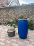 Vand damigene sticla si butoaie plastic