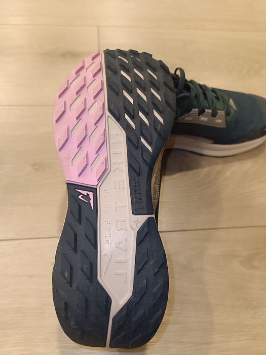 Nike Pegasus Trail 5 Gtx