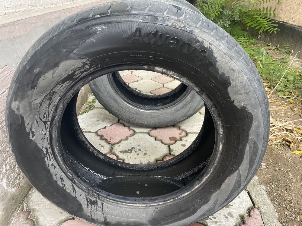 Летний шины триандж анвантех