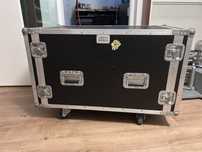 Vand Rack Case Mobil Dublu de 10U