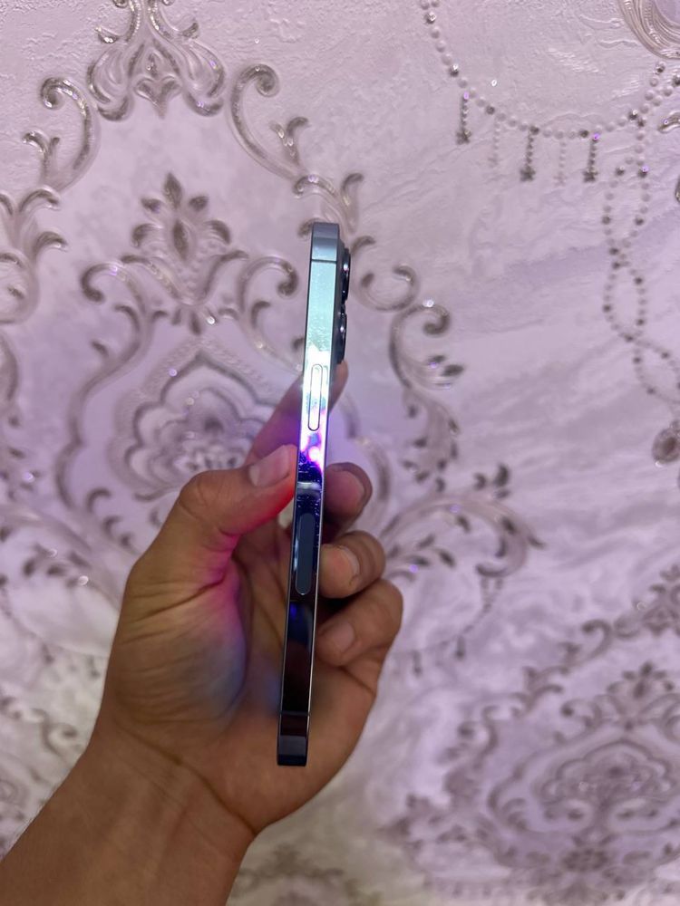 iPhone 13  Pro sotilad