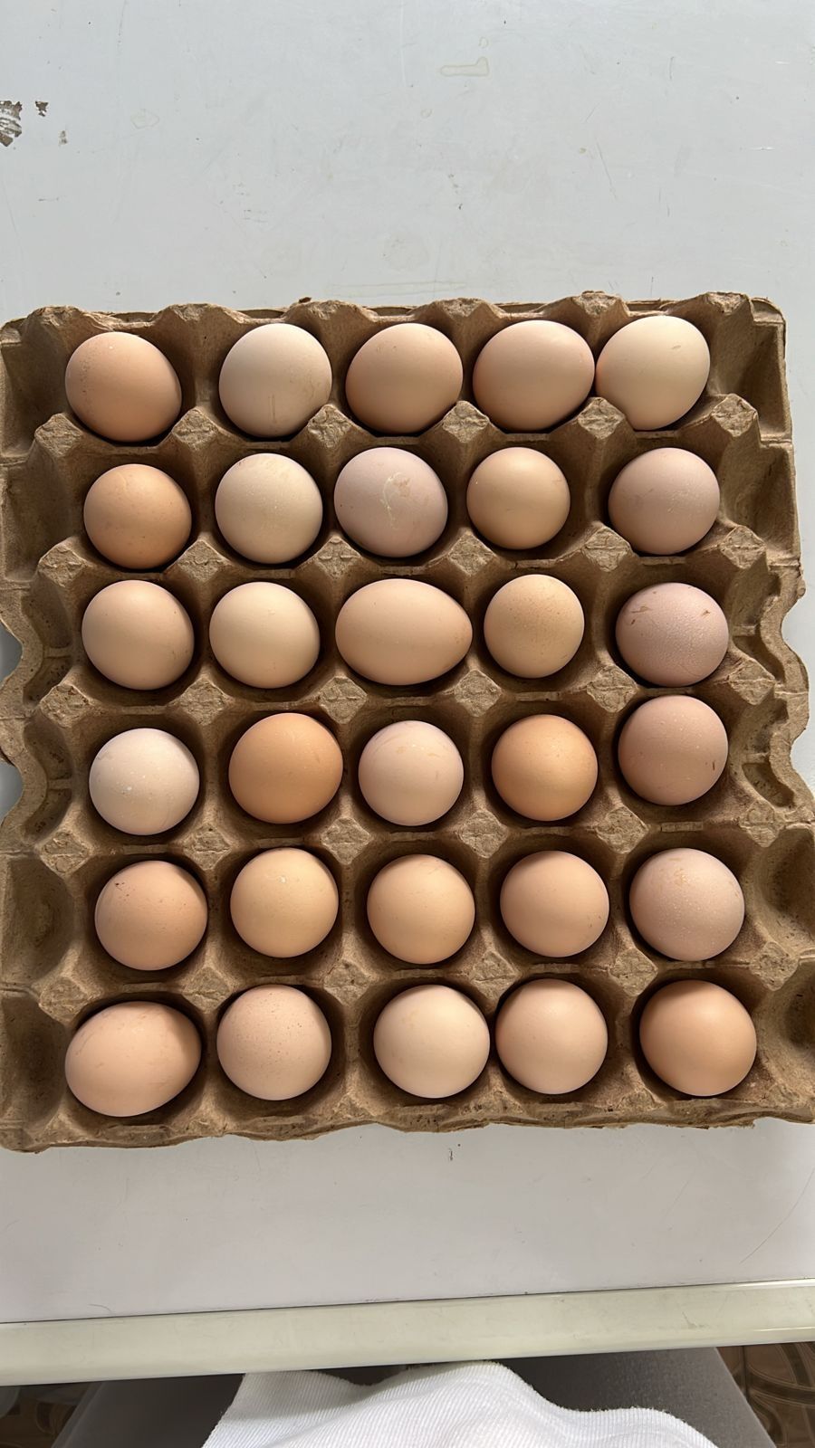 Яйца Ижевские С0,С1,С2,С3