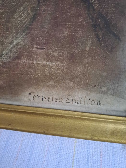 tablou vechi pictura pe panza 36/42 cm semnat Cornelia Emilian