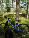 Trinx x7 pro 17/29
