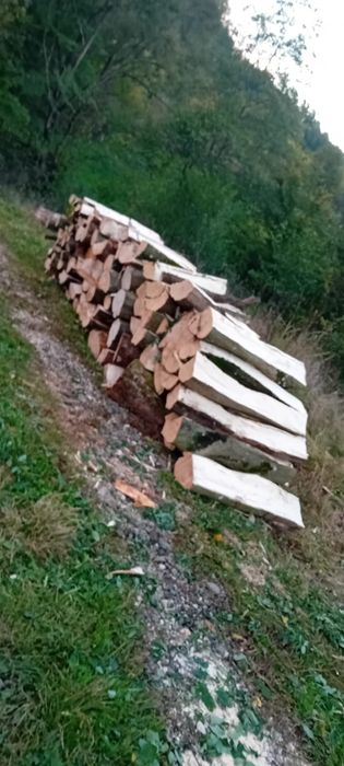 Vând lemn pentru foc de fag crăpate !