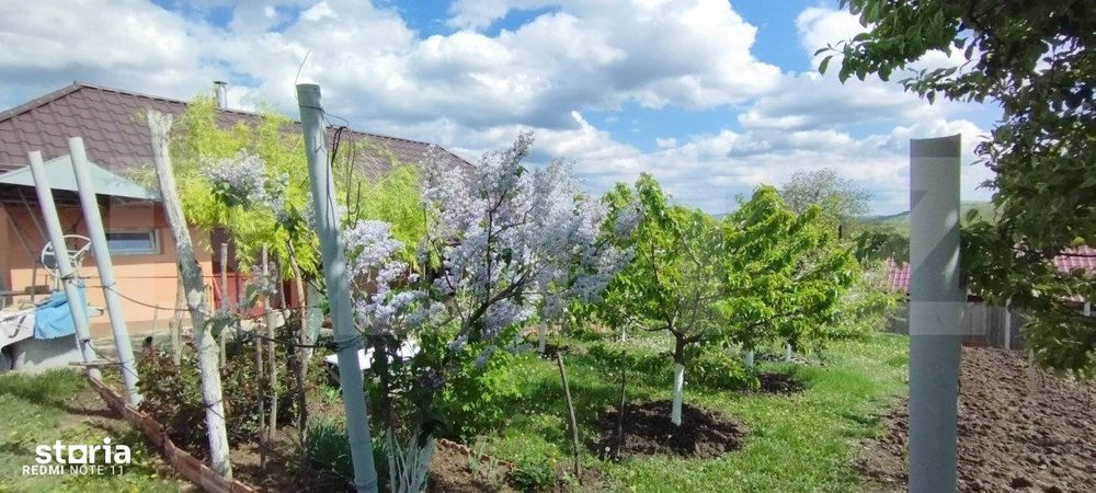 Casa+ casa vacanta, 2200 mp livada, Schitu-Duca