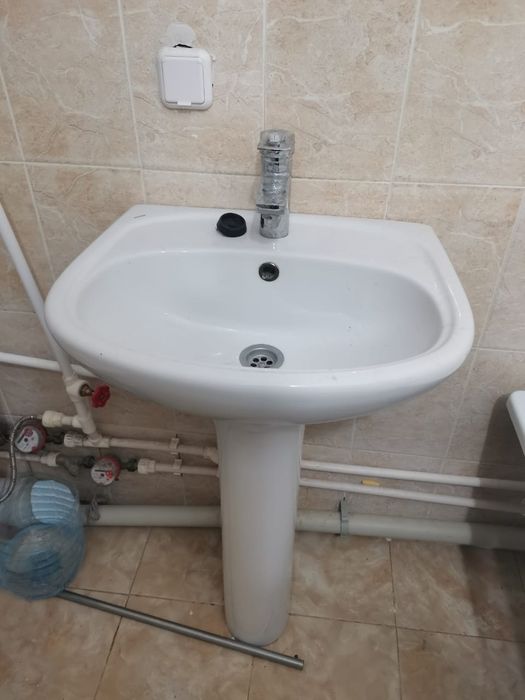 Раковина (тюльпан) в хорошем состоянии