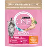 Purina One Junior