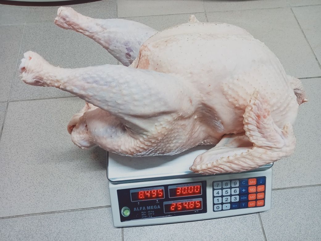 Продам мясо Индейки