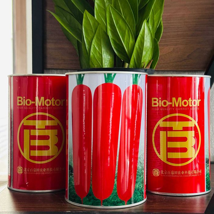 BIO-MOTOR – yuqori sifatli sabzi urug'i