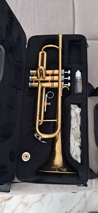 Vand Trompeta Ritmuller sau schimb cu un flugelhorn sau corn francez