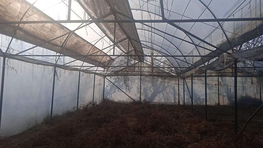 Parnik sotiladi holati yaxshi