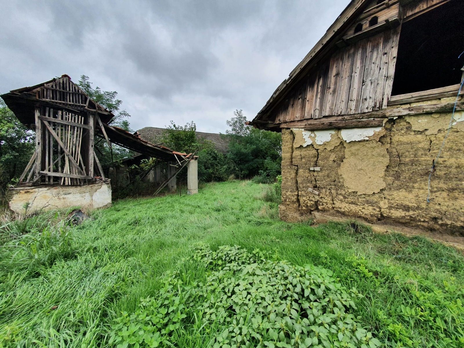 Vând casă cu grădină și construcții aferente în Com. Șimand, Jud. Arad