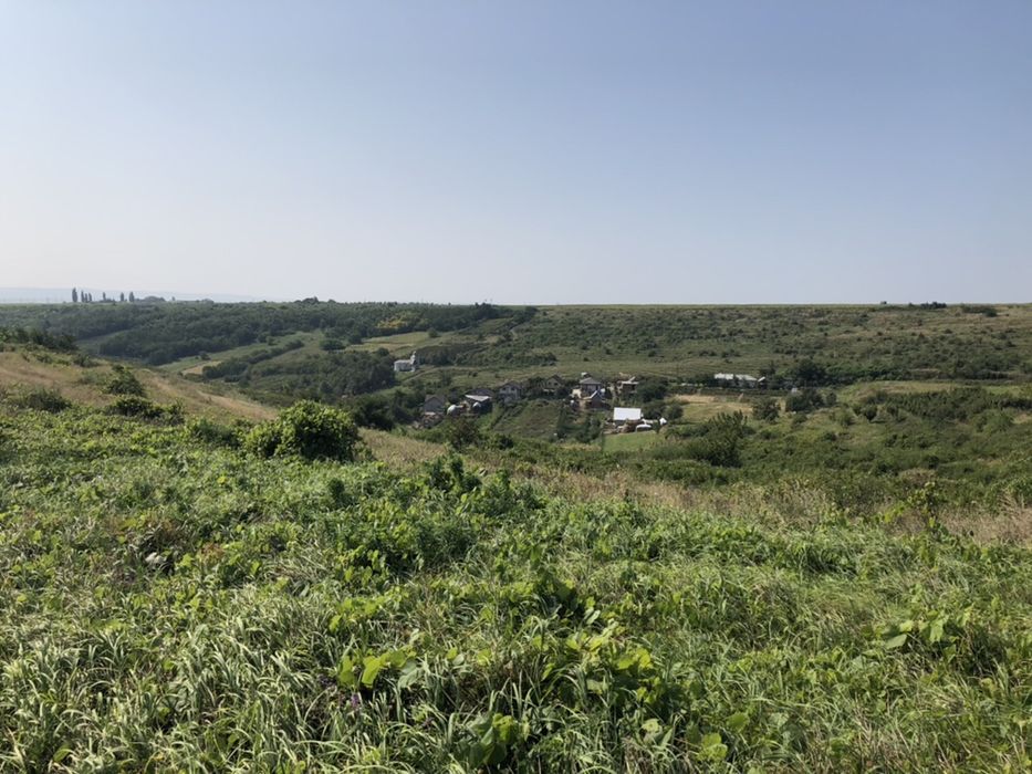 19.000 m2  Sorogari comuna Aroneanu Iasi la 200 m de asfalt