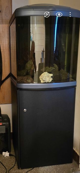 Acvariu 130l, cu pesti si cu suport