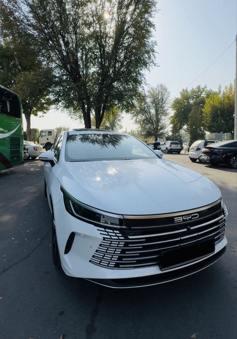 Byd chazor dm-i  120