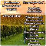 Struguri de vin producator livrez