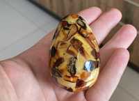 Балтийско кехлибарено яйце