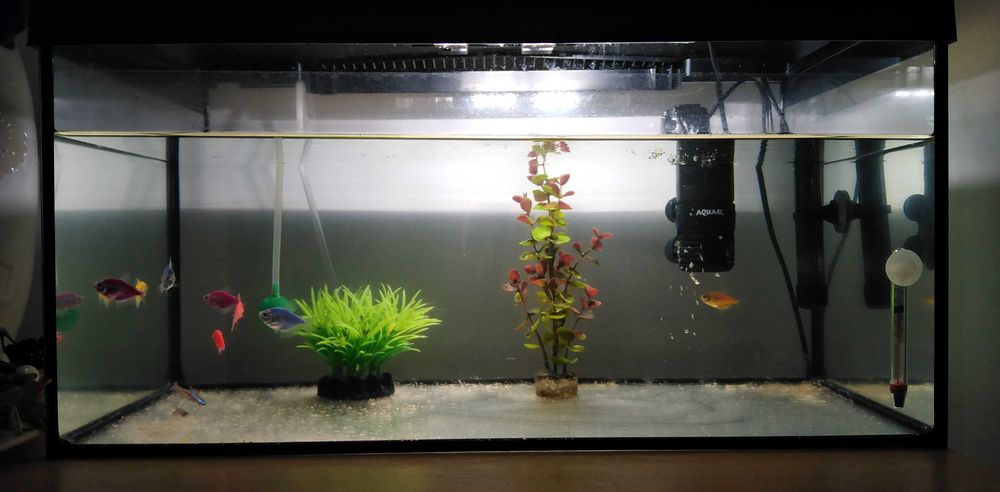 Acvariu Aquael complet echipat