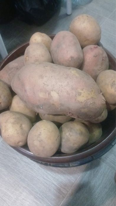 Домашняя картошка