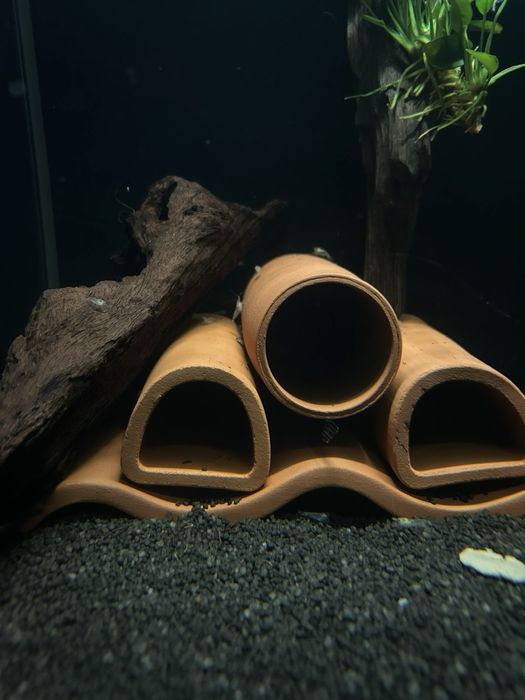 Скариди Snowball