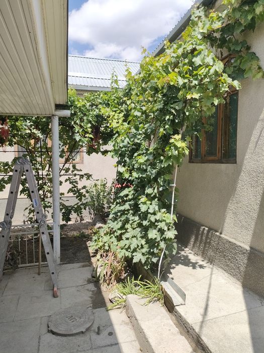 Дом большой Тайвань