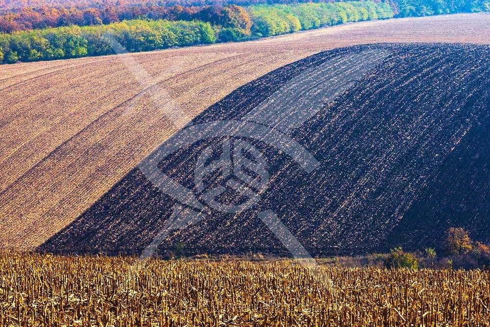 Парцел Царацово 75762