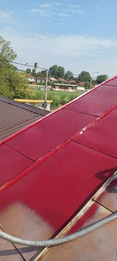 Vopsim orice tip de tabla pe casa, garduri, porti si alte suprafete