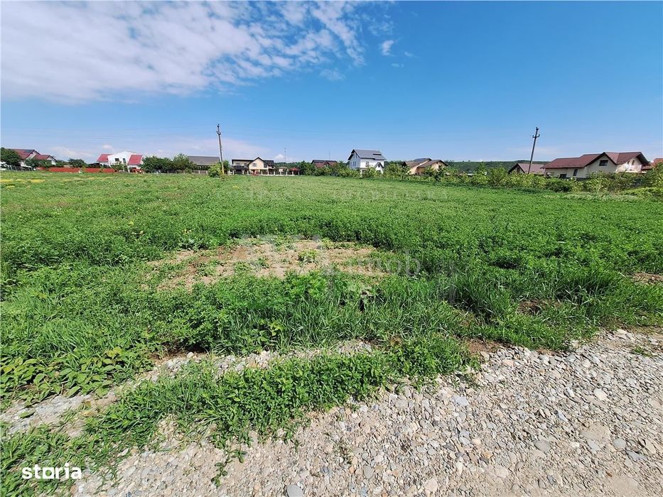 Teren intravilan 3177 mp, zona Serbanesti