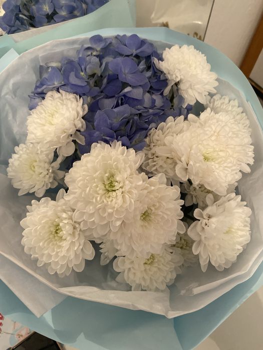 Продам свежые цветы сегоднишние