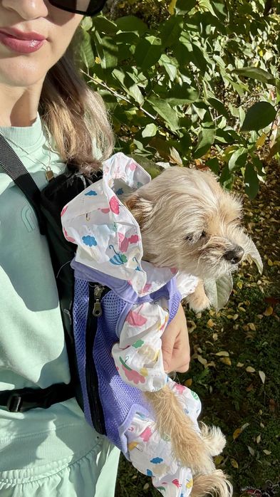 Marsupiu / ham adorabil pentru catei - confort, siguranta- L-XL